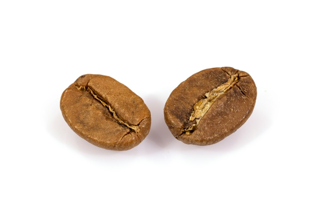 Freshly roasted coffee beans spread out close-up