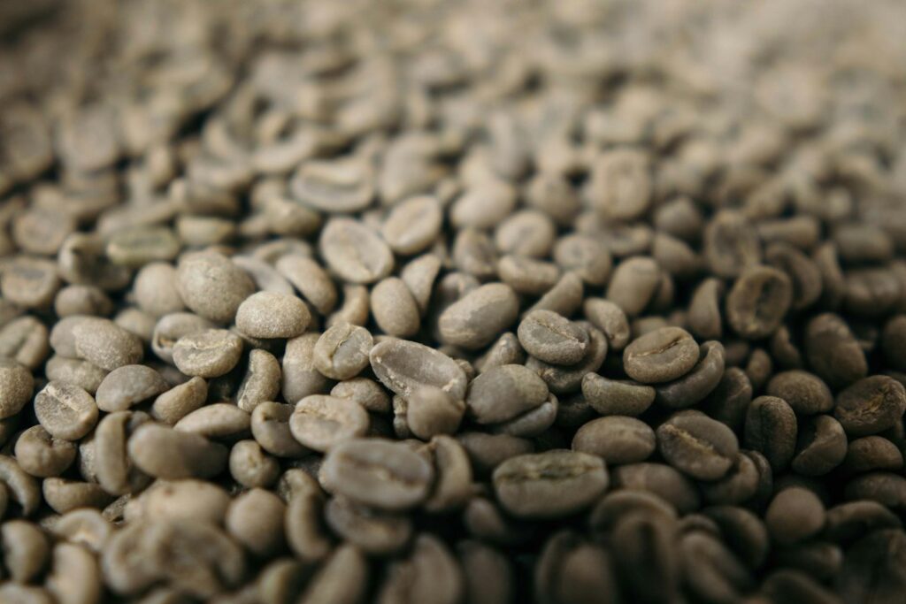 Green unroasted coffee beans close up