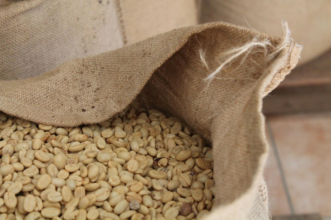 Hessian sack filled with raw green coffee beans