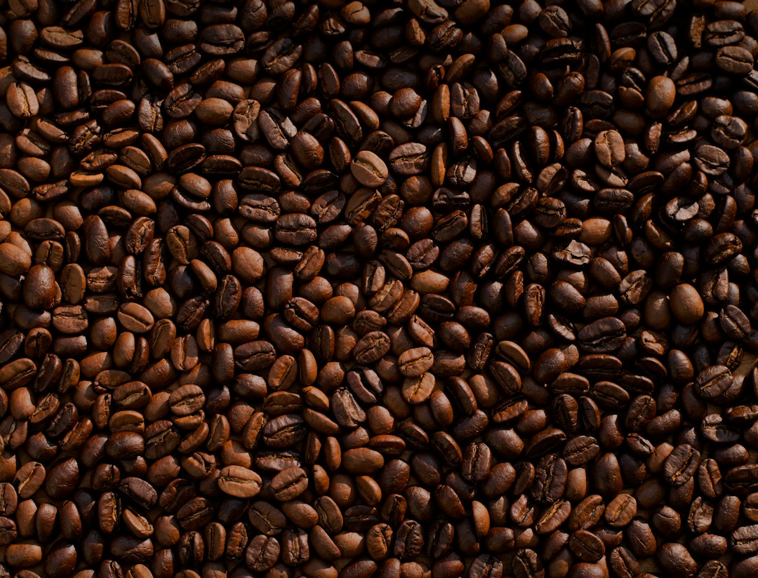 Roasted coffee beans close up