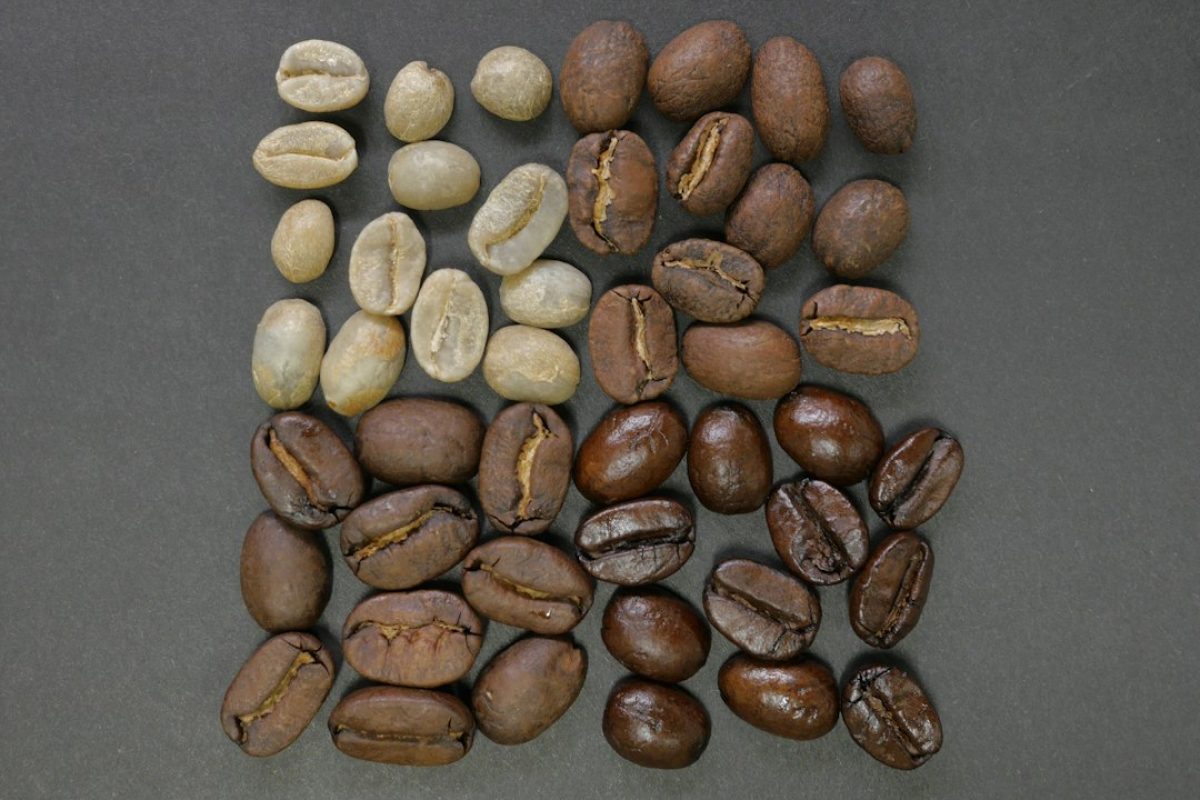 Close-up of roasted brown arabica coffee beans
